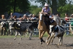 Název souboru=2010_pankova_09214.jpg
Velikost souboru=258KB
Rozměry=900x600
Datum přidání=24. Srpen 2010 2010_pankova_09214.jpg