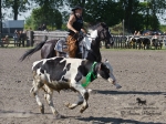 Název souboru=2010_pankova_09225.jpg
Velikost souboru=344KB
Rozměry=900x675
Datum přidání=24. Srpen 2010 2010_pankova_09225.jpg