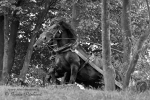 Název souboru=2010_pankova_10633.jpg
Velikost souboru=275KB
Rozměry=900x600
Datum přidání=01. Září 2010 2010_pankova_10633.jpg
