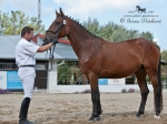 Název souboru=2010_pankova_10960.jpg
Velikost souboru=212KB
Rozměry=900x675
Datum přidání=22. Září 2010 2010_pankova_10960.jpg