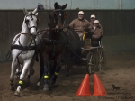Název souboru=2010_pankova_13226.jpg
Velikost souboru=142KB
Rozměry=700x525
Datum přidání=22. Prosinec 2010 2010_pankova_13226.jpg