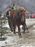 Název souboru=2011_pankova_00090.jpg
Velikost souboru=309KB
Rozměry=675x900
Datum přidání=13. Leden 2011 2011_pankova_00090.jpg