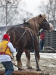Název souboru=2011_pankova_00110.jpg
Velikost souboru=243KB
Rozměry=675x900
Datum přidání=13. Leden 2011 2011_pankova_00110.jpg