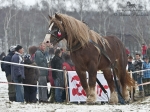 Název souboru=2011_pankova_00114.jpg
Velikost souboru=275KB
Rozměry=900x675
Datum přidání=13. Leden 2011 2011_pankova_00114.jpg