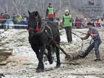 Název souboru=2011_pankova_00162.jpg
Velikost souboru=311KB
Rozměry=900x675
Datum přidání=13. Leden 2011 2011_pankova_00162.jpg