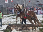 Název souboru=2011_pankova_00231.jpg
Velikost souboru=291KB
Rozměry=900x675
Datum přidání=13. Leden 2011 2011_pankova_00231.jpg