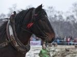 Název souboru=2011_pankova_00312.jpg
Velikost souboru=166KB
Rozměry=900x675
Datum přidání=13. Leden 2011 2011_pankova_00312.jpg
