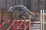 Název souboru=2011_pankova_00545.jpg
Velikost souboru=181KB
Rozměry=800x533
Datum přidání=20. Duben 2011 2011_pankova_00545.jpg