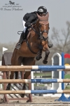 Název souboru=2011_pankova_00773.jpg
Velikost souboru=192KB
Rozměry=601x900
Datum přidání=30. Duben 2011 2011_pankova_00773.jpg