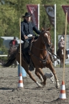 Název souboru=2011_pankova_02420.jpg
Velikost souboru=260KB
Rozměry=600x900
Datum přidání=13. Květen 2011 2011_pankova_02420.jpg
