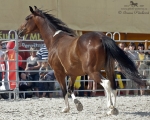 Název souboru=2011_pankova_02781.jpg
Velikost souboru=294KB
Rozměry=900x720
Datum přidání=30. Říjen 2011 2011_pankova_02781.jpg