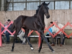 Název souboru=2011_pankova_03241.jpg
Velikost souboru=223KB
Rozměry=900x675
Datum přidání=15. Červenec 2011 2011_pankova_03241.jpg