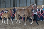 Název souboru=2011_pankova_03423.jpg
Velikost souboru=388KB
Rozměry=1100x733
Datum přidání=31. Červenec 2011 2011_pankova_03423.jpg