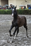 Název souboru=2011_pankova_03979.jpg
Velikost souboru=261KB
Rozměry=600x900
Datum přidání=18. Červenec 2011 2011_pankova_03979.jpg