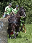 Název souboru=2011_pankova_04042.jpg
Velikost souboru=299KB
Rozměry=675x900
Datum přidání=19. Červenec 2011 2011_pankova_04042.jpg