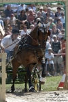 Název souboru=2011_pankova_04339.jpg
Velikost souboru=276KB
Rozměry=601x900
Datum přidání=19. Červenec 2011 2011_pankova_04339.jpg