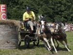 Název souboru=2011_pankova_04812.jpg
Velikost souboru=393KB
Rozměry=900x675
Datum přidání=18. Červenec 2011 2011_pankova_04812.jpg