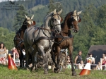 Název souboru=2011_pankova_05193.jpg
Velikost souboru=312KB
Rozměry=900x674
Datum přidání=25. Červenec 2011 2011_pankova_05193.jpg