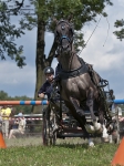 Název souboru=2011_pankova_07228.jpg
Velikost souboru=299KB
Rozměry=674x900
Datum přidání=25. Srpen 2011 2011_pankova_07228.jpg