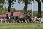 Název souboru=2011_pankova_07832.jpg
Velikost souboru=286KB
Rozměry=900x601
Datum přidání=25. Srpen 2011 2011_pankova_07832.jpg