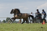 Název souboru=2011_pankova_07837.jpg
Velikost souboru=188KB
Rozměry=900x600
Datum přidání=25. Srpen 2011 2011_pankova_07837.jpg