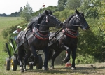 Název souboru=2011_pankova_09108.jpg
Velikost souboru=298KB
Rozměry=900x643
Datum přidání=06. Září 2011 2011_pankova_09108.jpg