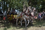 Název souboru=2011_pankova_09119.jpg
Velikost souboru=364KB
Rozměry=900x601
Datum přidání=06. Září 2011 2011_pankova_09119.jpg