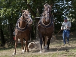 Název souboru=2011_pankova_09284.jpg
Velikost souboru=322KB
Rozměry=900x674
Datum přidání=06. Září 2011 2011_pankova_09284.jpg