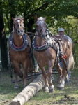 Název souboru=2011_pankova_09382.jpg
Velikost souboru=322KB
Rozměry=675x900
Datum přidání=06. Září 2011 2011_pankova_09382.jpg