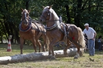 Název souboru=2011_pankova_09388.jpg
Velikost souboru=313KB
Rozměry=900x601
Datum přidání=06. Září 2011 2011_pankova_09388.jpg