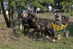 Název souboru=2011_pankova_09407.jpg
Velikost souboru=354KB
Rozměry=900x601
Datum přidání=06. Září 2011 2011_pankova_09407.jpg