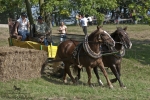 Název souboru=2011_pankova_09410.jpg
Velikost souboru=343KB
Rozměry=900x601
Datum přidání=06. Září 2011 2011_pankova_09410.jpg