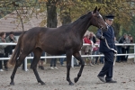 Název souboru=2011_pankova_10947.jpg
Velikost souboru=247KB
Rozměry=900x600
Datum přidání=03. Říjen 2011 2011_pankova_10947.jpg