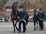 Název souboru=2011_pankova_11255.jpg
Velikost souboru=255KB
Rozměry=900x675
Datum přidání=03. Říjen 2011 2011_pankova_11255.jpg