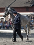 Název souboru=2011_pankova_11418.jpg
Velikost souboru=284KB
Rozměry=674x900
Datum přidání=02. Říjen 2011 2011_pankova_11418.jpg