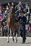 Název souboru=2011_pankova_11490.jpg
Velikost souboru=238KB
Rozměry=601x900
Datum přidání=02. Říjen 2011 2011_pankova_11490.jpg