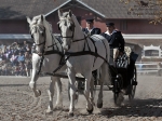 Název souboru=2011_pankova_11514.jpg
Velikost souboru=271KB
Rozměry=900x675
Datum přidání=02. Říjen 2011 2011_pankova_11514.jpg