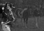Název souboru=2012_pankova_04428_a.jpg
Velikost souboru=188KB
Rozměry=900x643
Datum přidání=08. Červen 2012 2012_pankova_04428_a.jpg