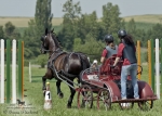Název souboru=2012_pankova_05060.jpg
Velikost souboru=264KB
Rozměry=900x643
Datum přidání=05. Červenec 2012 2012_pankova_05060.jpg