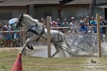 Název souboru=2012_pankova_05497.jpg
Velikost souboru=305KB
Rozměry=900x600
Datum přidání=22. Červenec 2012 2012_pankova_05497.jpg