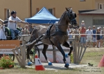 Název souboru=2012_pankova_05590.jpg
Velikost souboru=280KB
Rozměry=900x643
Datum přidání=22. Červenec 2012 2012_pankova_05590.jpg