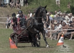 Název souboru=2012_pankova_05663.jpg
Velikost souboru=280KB
Rozměry=900x643
Datum přidání=22. Červenec 2012 2012_pankova_05663.jpg