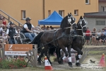 Název souboru=2012_pankova_05904.jpg
Velikost souboru=273KB
Rozměry=900x601
Datum přidání=22. Červenec 2012 2012_pankova_05904.jpg