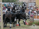 Název souboru=2012_pankova_05910.jpg
Velikost souboru=329KB
Rozměry=900x676
Datum přidání=22. Červenec 2012 2012_pankova_05910.jpg