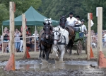 Název souboru=2012_pankova_06364.jpg
Velikost souboru=293KB
Rozměry=900x643
Datum přidání=22. Červenec 2012 2012_pankova_06364.jpg