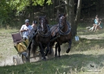 Název souboru=2012_pankova_06998.jpg
Velikost souboru=421KB
Rozměry=1100x786
Datum přidání=31. Červenec 2012 2012_pankova_06998.jpg