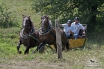 Název souboru=2012_pankova_07003.jpg
Velikost souboru=523KB
Rozměry=1100x734
Datum přidání=31. Červenec 2012 2012_pankova_07003.jpg