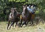 Název souboru=2012_pankova_07028.jpg
Velikost souboru=548KB
Rozměry=1100x786
Datum přidání=31. Červenec 2012 2012_pankova_07028.jpg