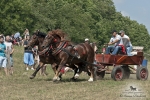 Název souboru=2012_pankova_07068.jpg
Velikost souboru=483KB
Rozměry=1100x734
Datum přidání=31. Červenec 2012 2012_pankova_07068.jpg