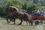 Název souboru=2012_pankova_07090.jpg
Velikost souboru=478KB
Rozměry=1100x734
Datum přidání=31. Červenec 2012 2012_pankova_07090.jpg